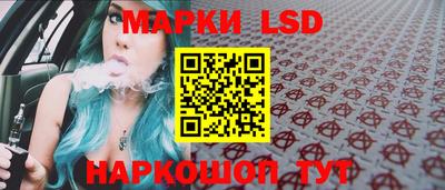 стафф Донской