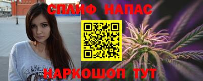 стафф Донской