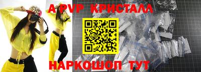 стафф Донской