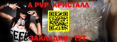 стафф Донской