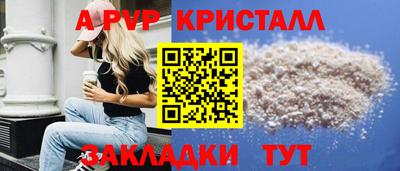 стафф Донской