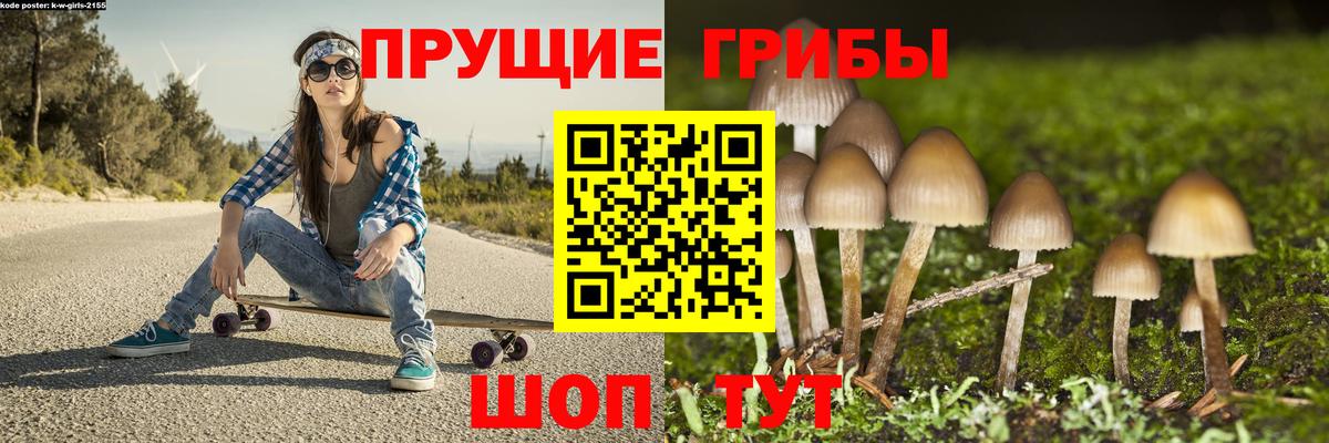 закладки  Вход с VPN  Прокопьевск  Галлюциногенные грибы ЛСД  Галлюциногенные грибы MAGIC MUSHROOMS 