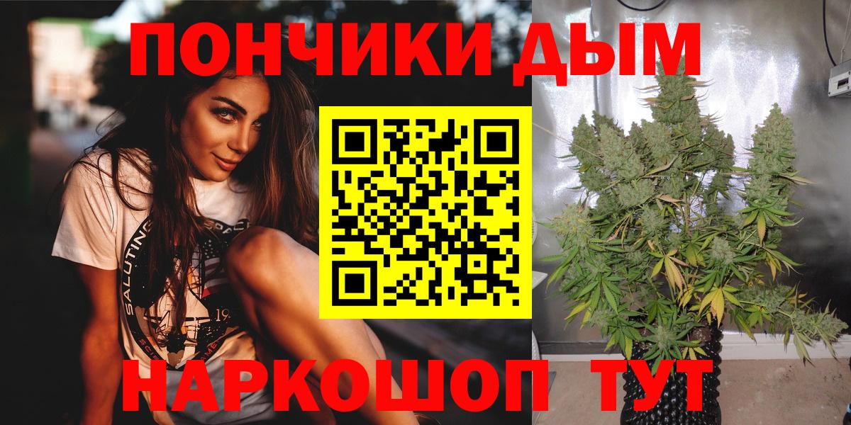 Бошки Шишки планчик Прокопьевск